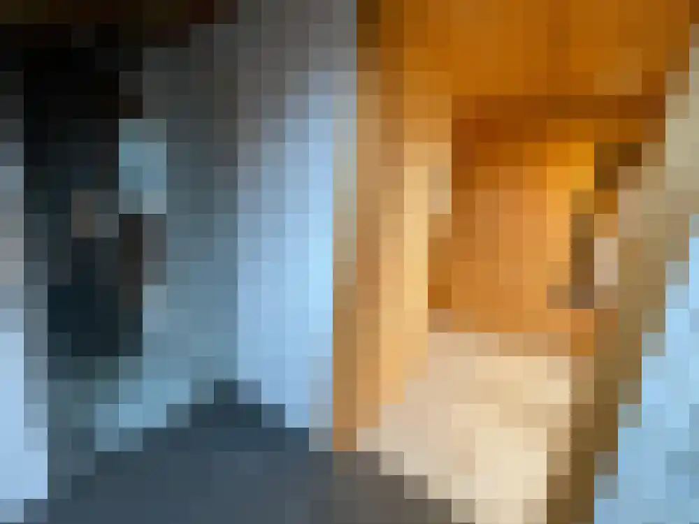 Ploegdijk 2 H439 Lochem thumbnail 32