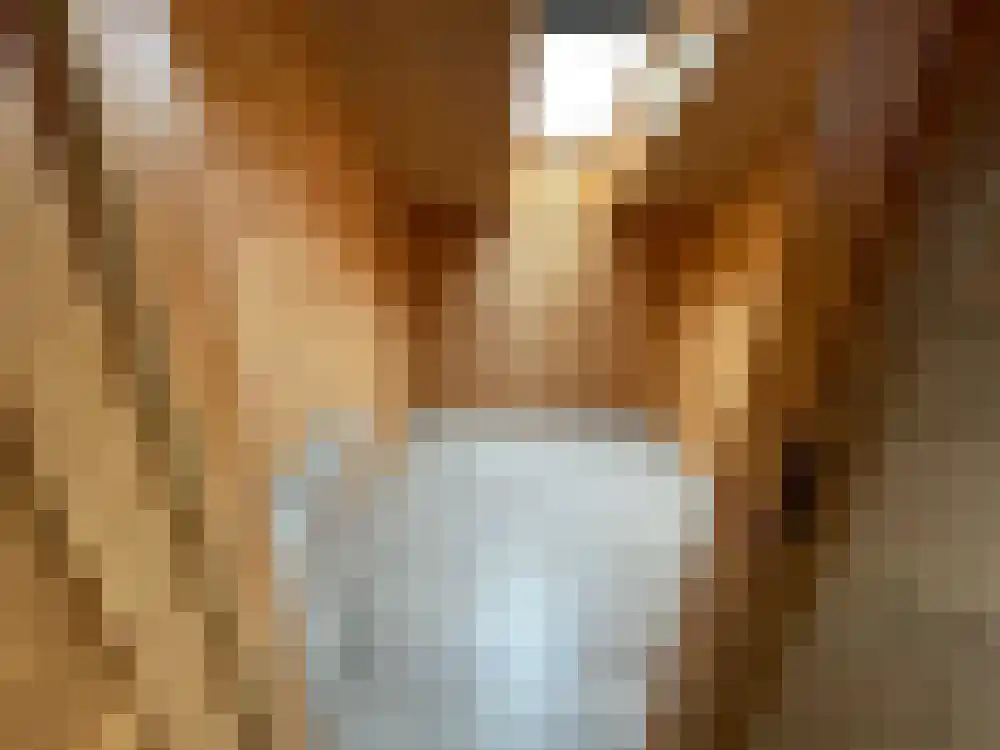 Ploegdijk 2 H439 Lochem thumbnail 33
