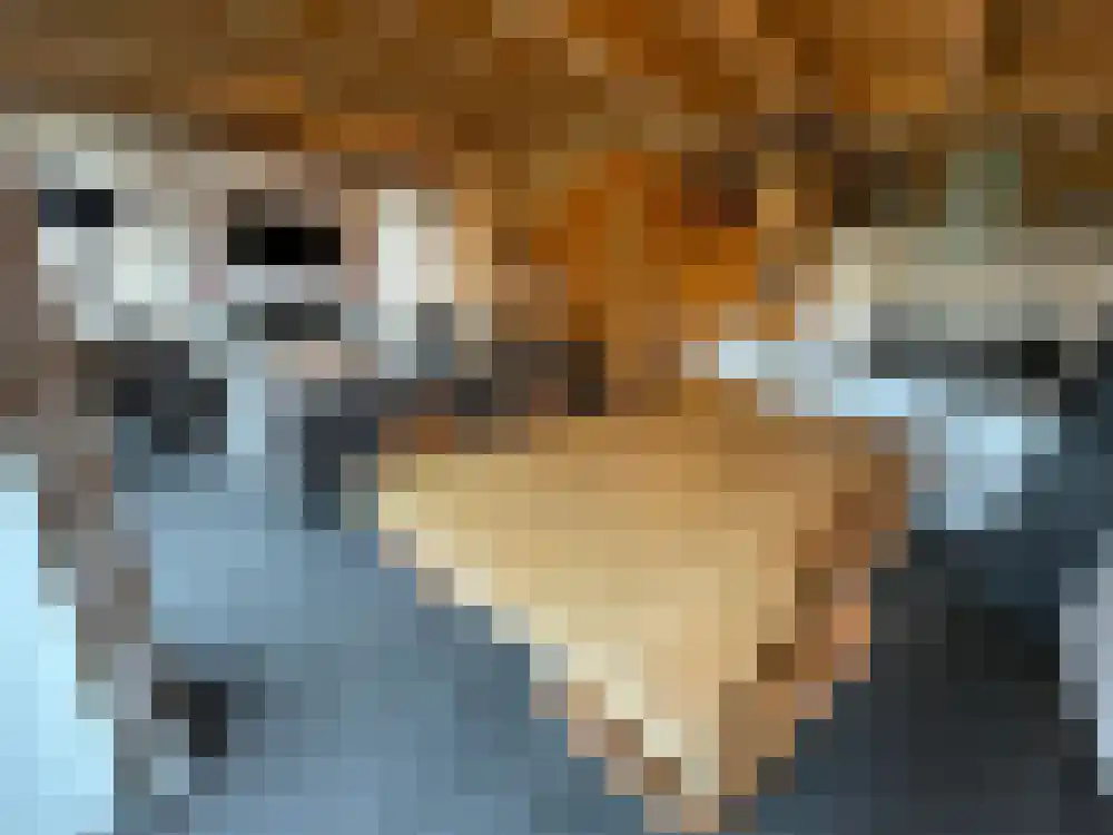 Ploegdijk 2 H439 Lochem thumbnail 4