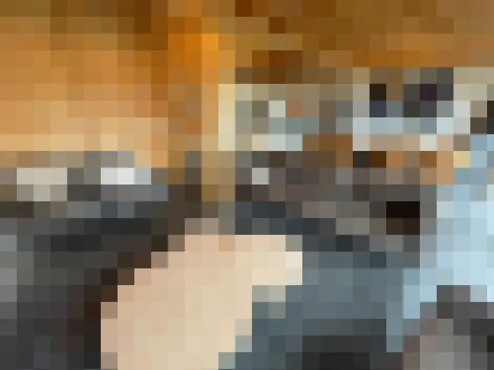 Ploegdijk 2 H439 Lochem thumbnail 5