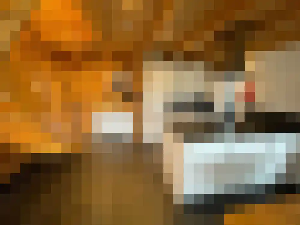 Ploegdijk 2 H439 Lochem thumbnail 6