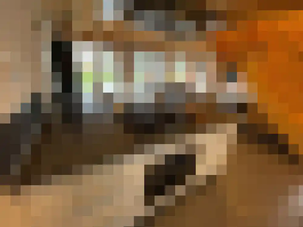 Ploegdijk 2 H439 Lochem thumbnail 7
