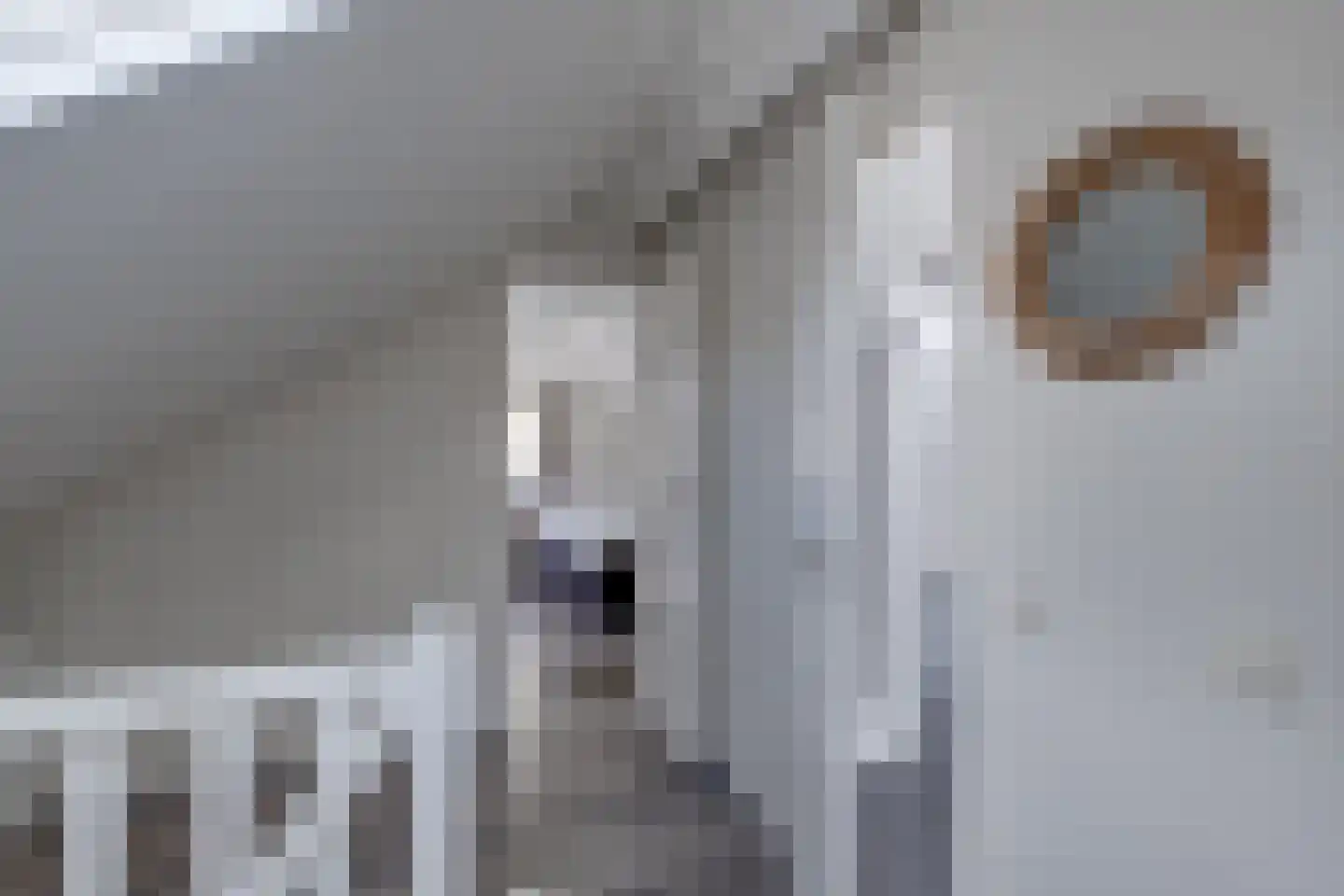 Ploegdijk 2 H513 Lochem thumbnail 30