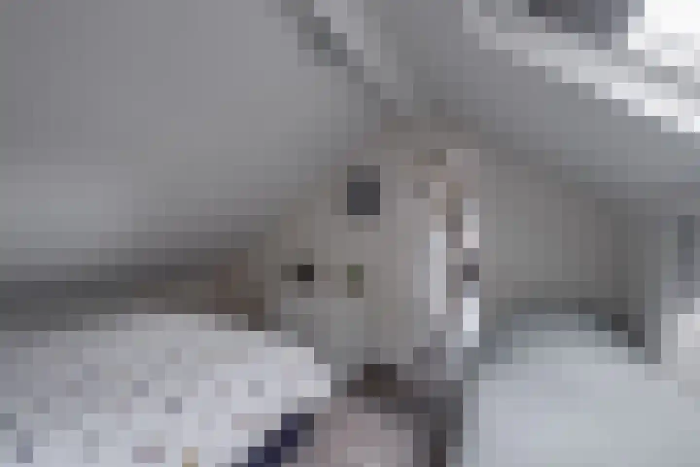 Ploegdijk 2 H513 Lochem thumbnail 34