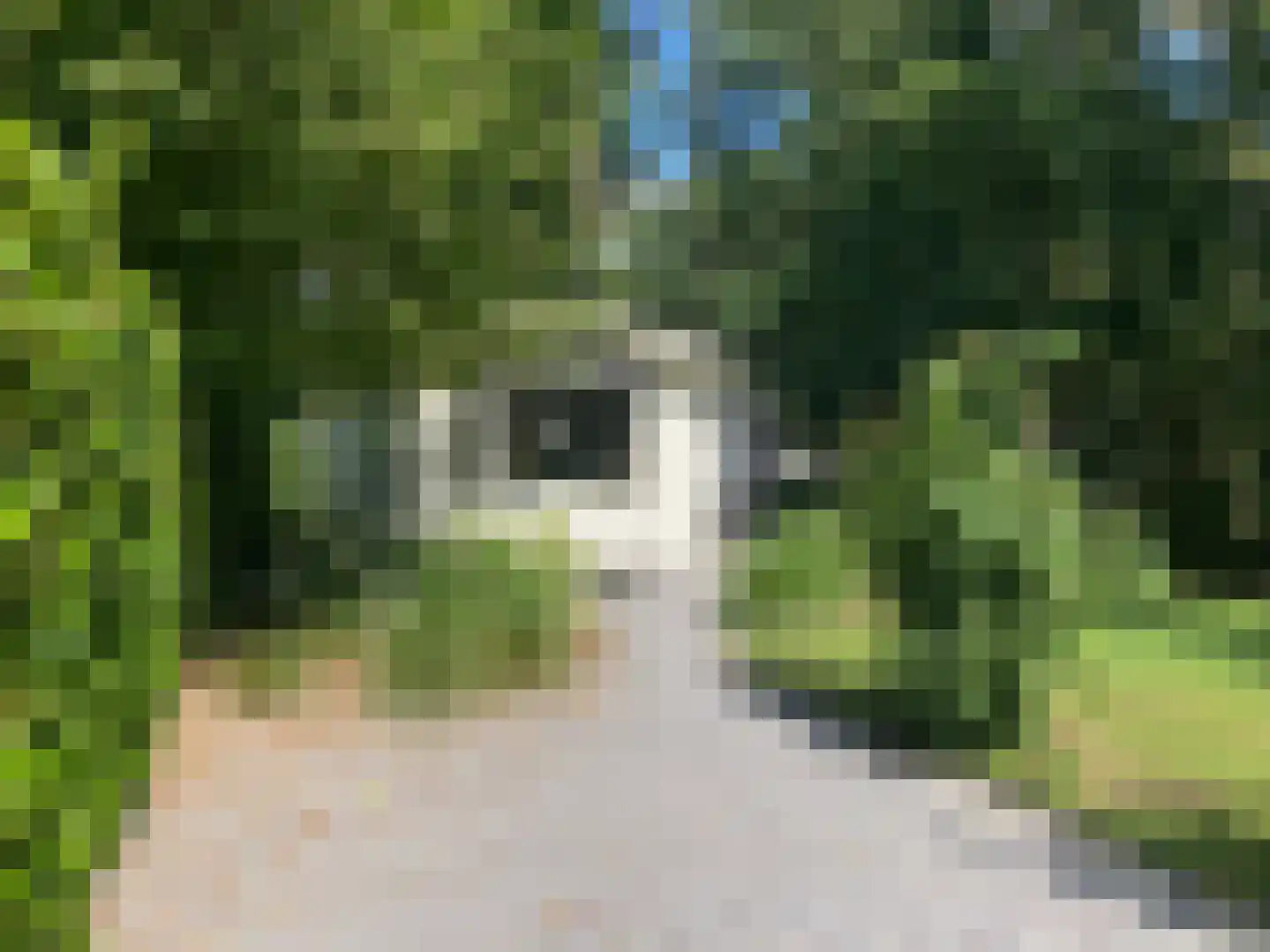 Ploegdijk 2 H54 Lochem thumbnail 16