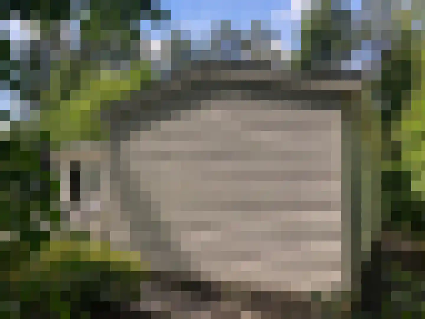Ploegdijk 2 H54 Lochem thumbnail 18