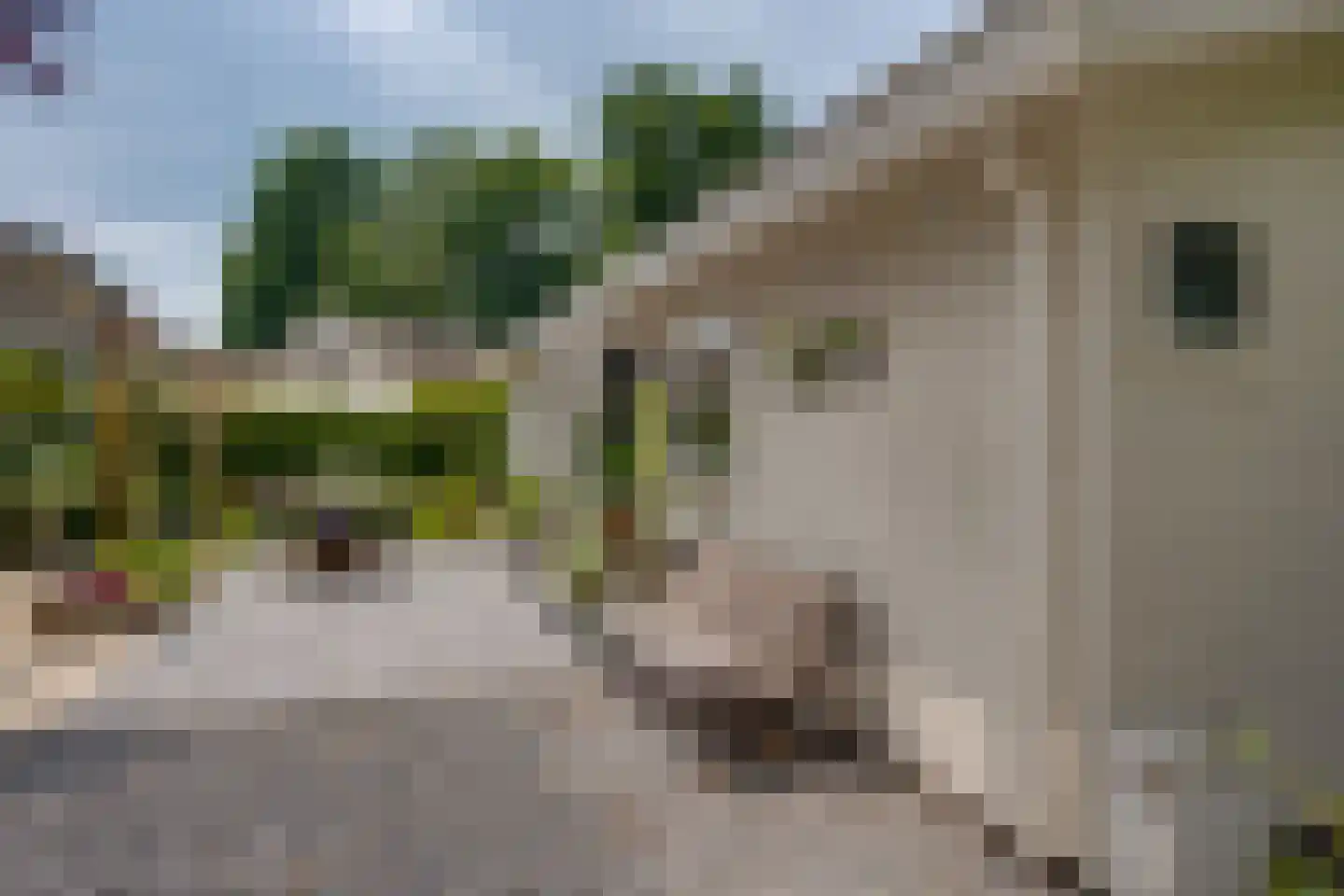 Ploegdijk 2 H635 Lochem thumbnail 31