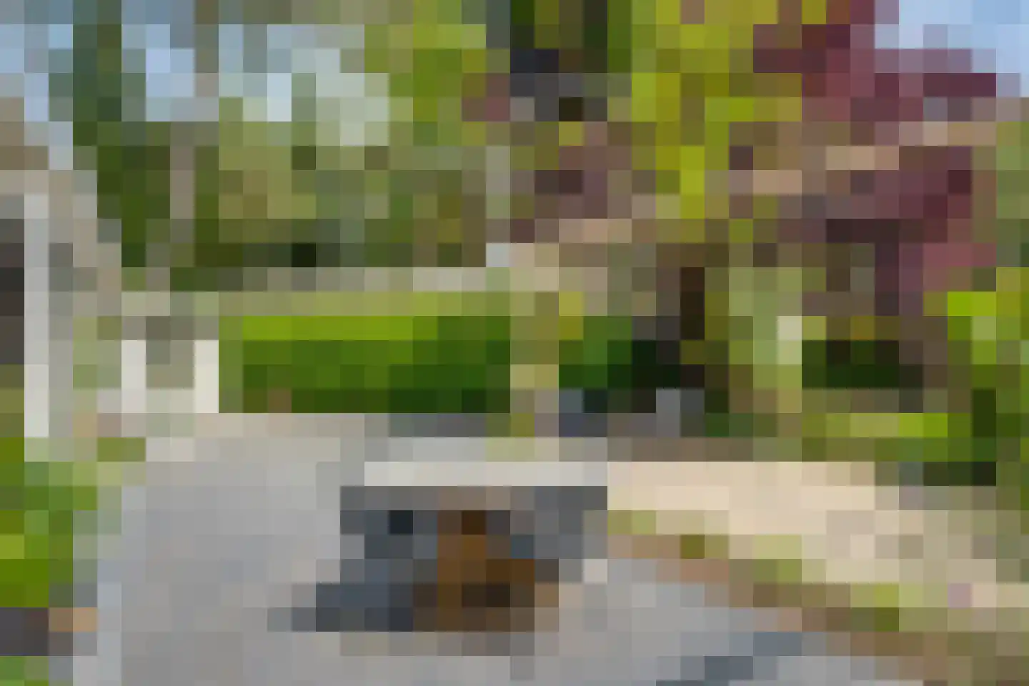Ploegdijk 2 H635 Lochem thumbnail 36