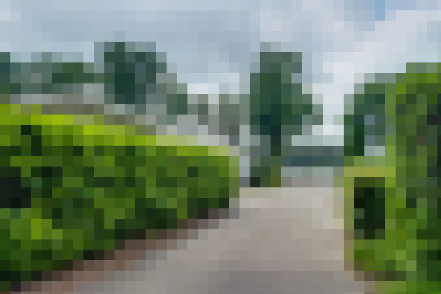 Ploegdijk 2 H635 Lochem thumbnail 41