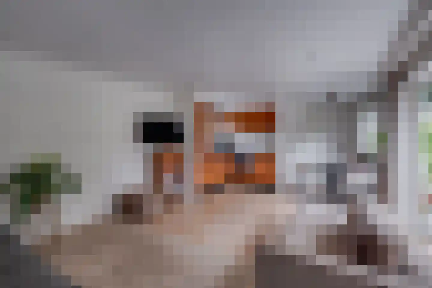 Ploegdijk 2 H635 Lochem thumbnail 8