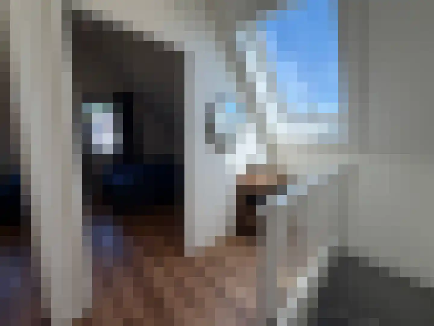 Ploegdijk 2 H709 Lochem thumbnail 14