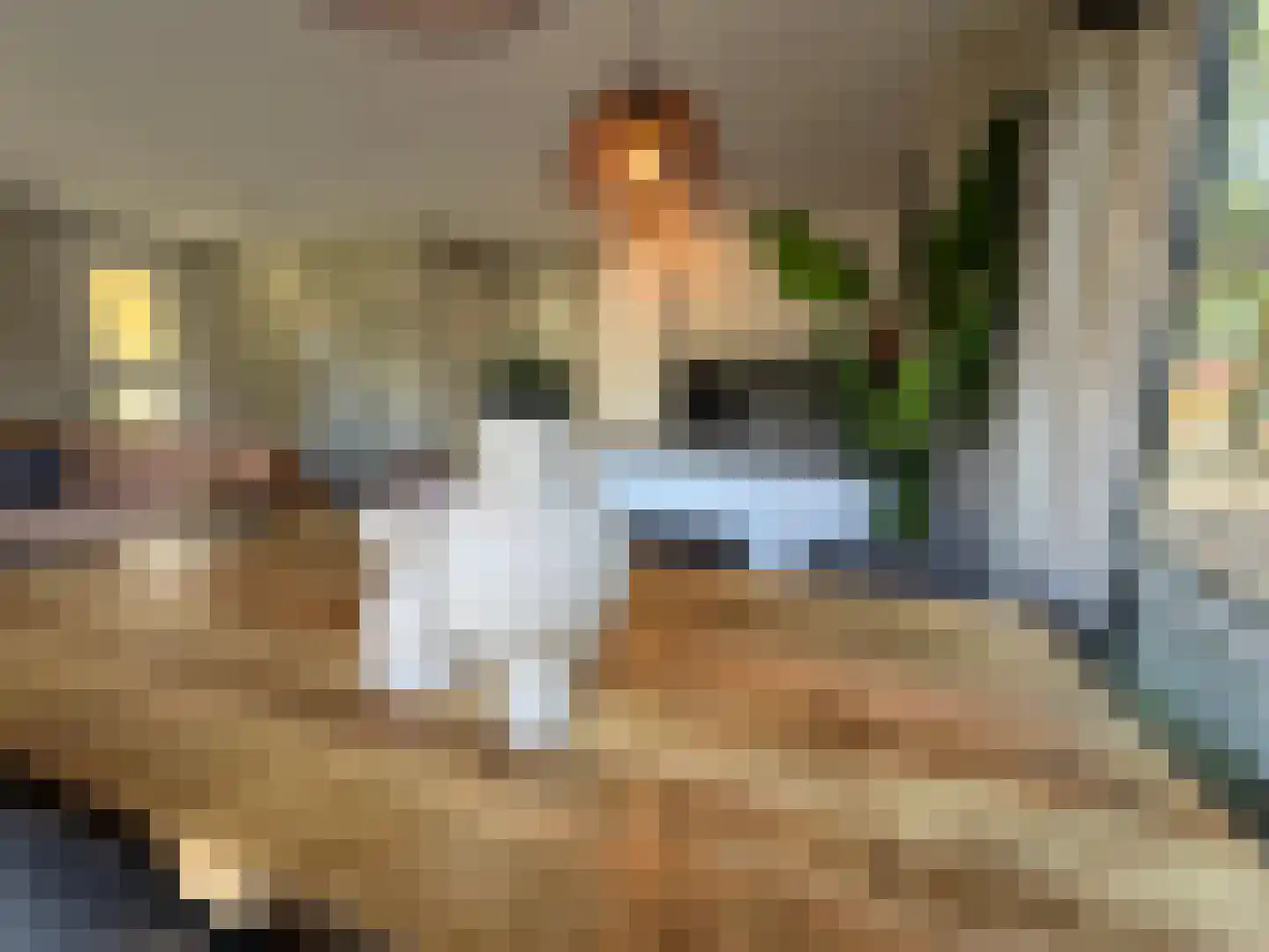 Ploegdijk 2 H709 Lochem thumbnail 5