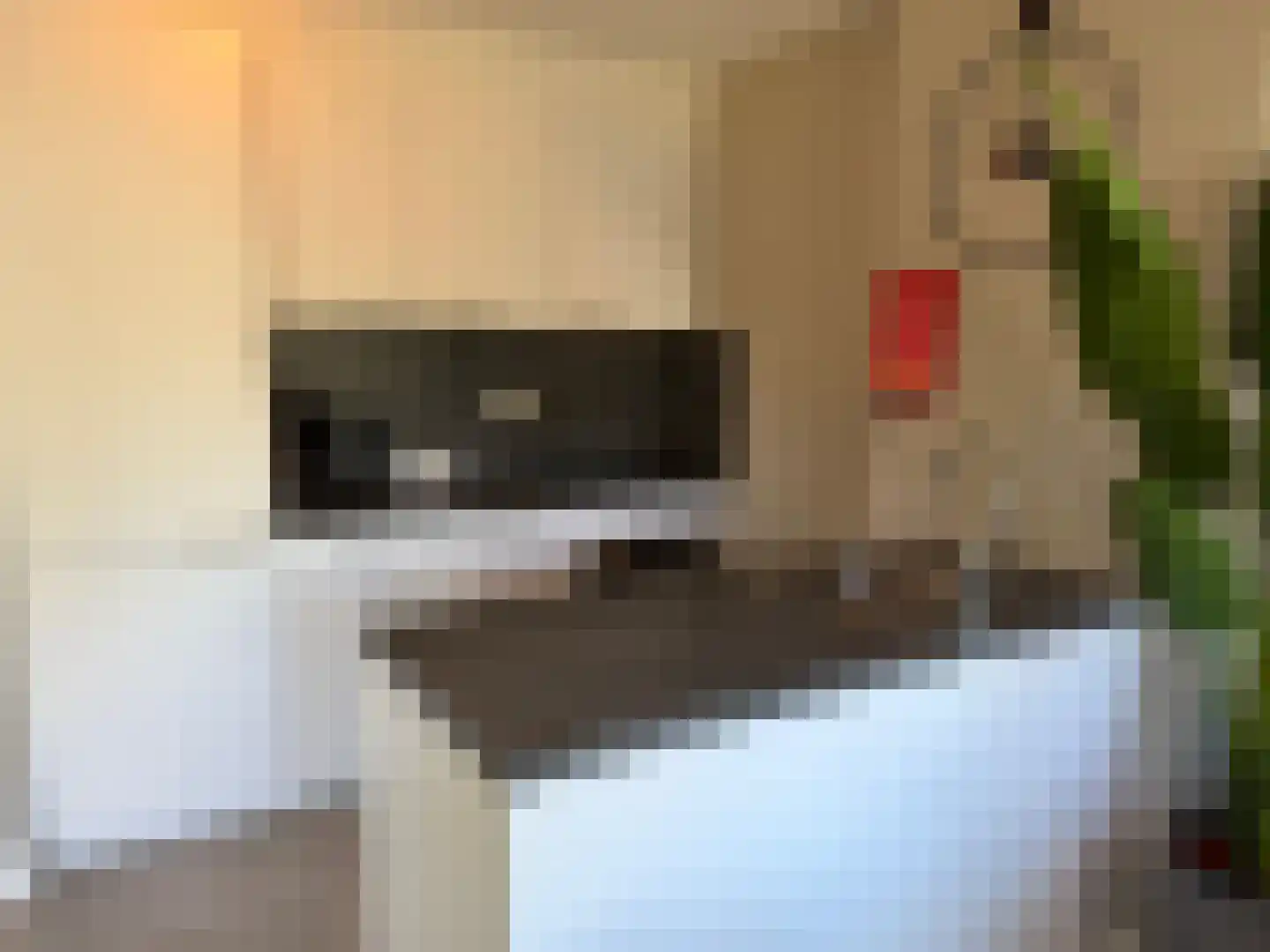 Ploegdijk 2 H709 Lochem thumbnail 6