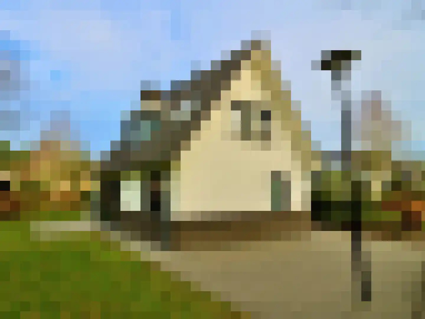 Ploegdijk 2 H717 Lochem thumbnail 26