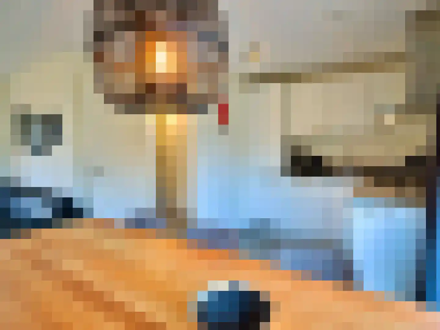 Ploegdijk 2 H717 Lochem thumbnail 8