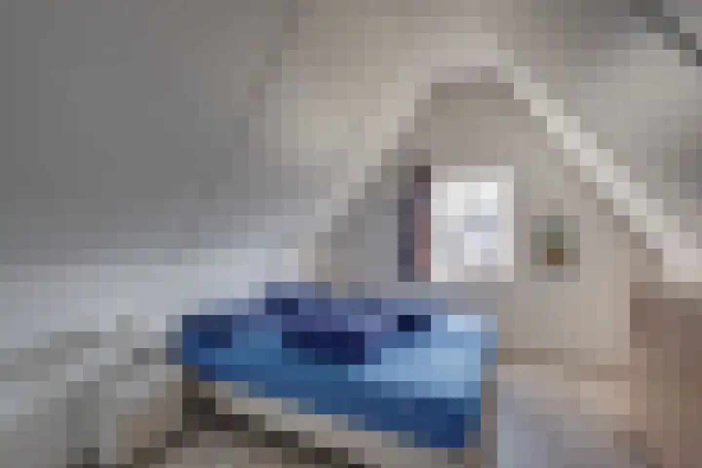 Ploegdijk 2 H724 Lochem thumbnail 30