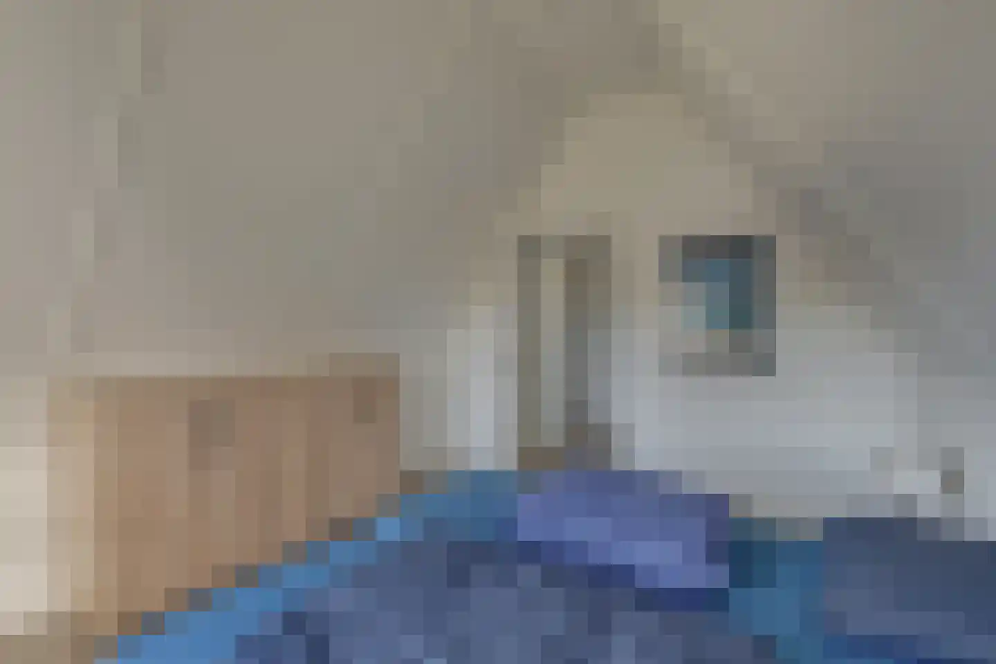 Ploegdijk 2 H724 Lochem thumbnail 31