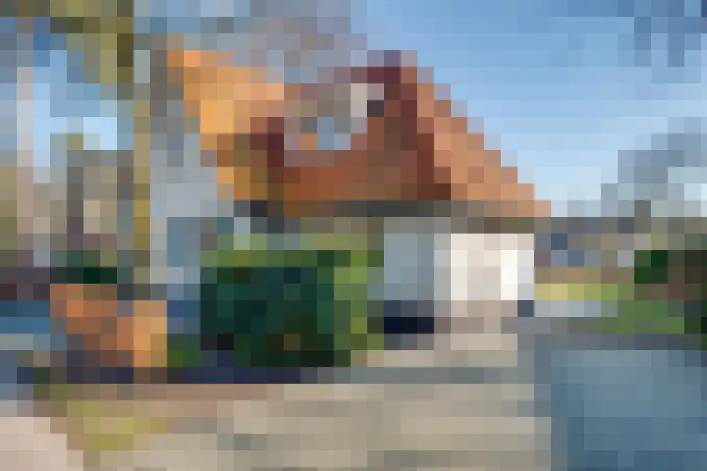 Ploegdijk 2 H724 Lochem thumbnail 38