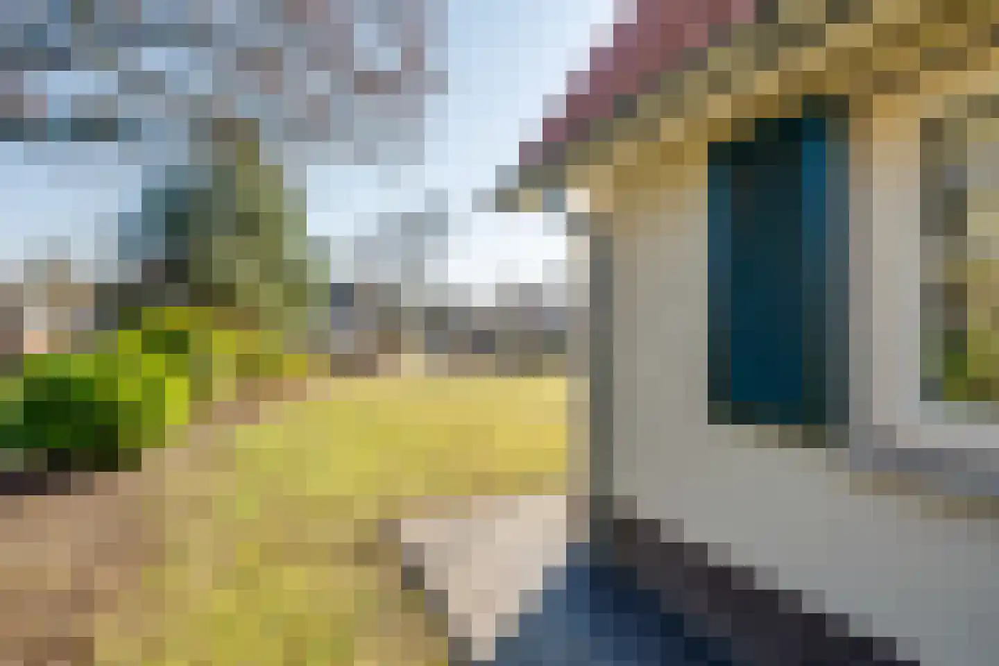 Ploegdijk 2 H724 Lochem thumbnail 5