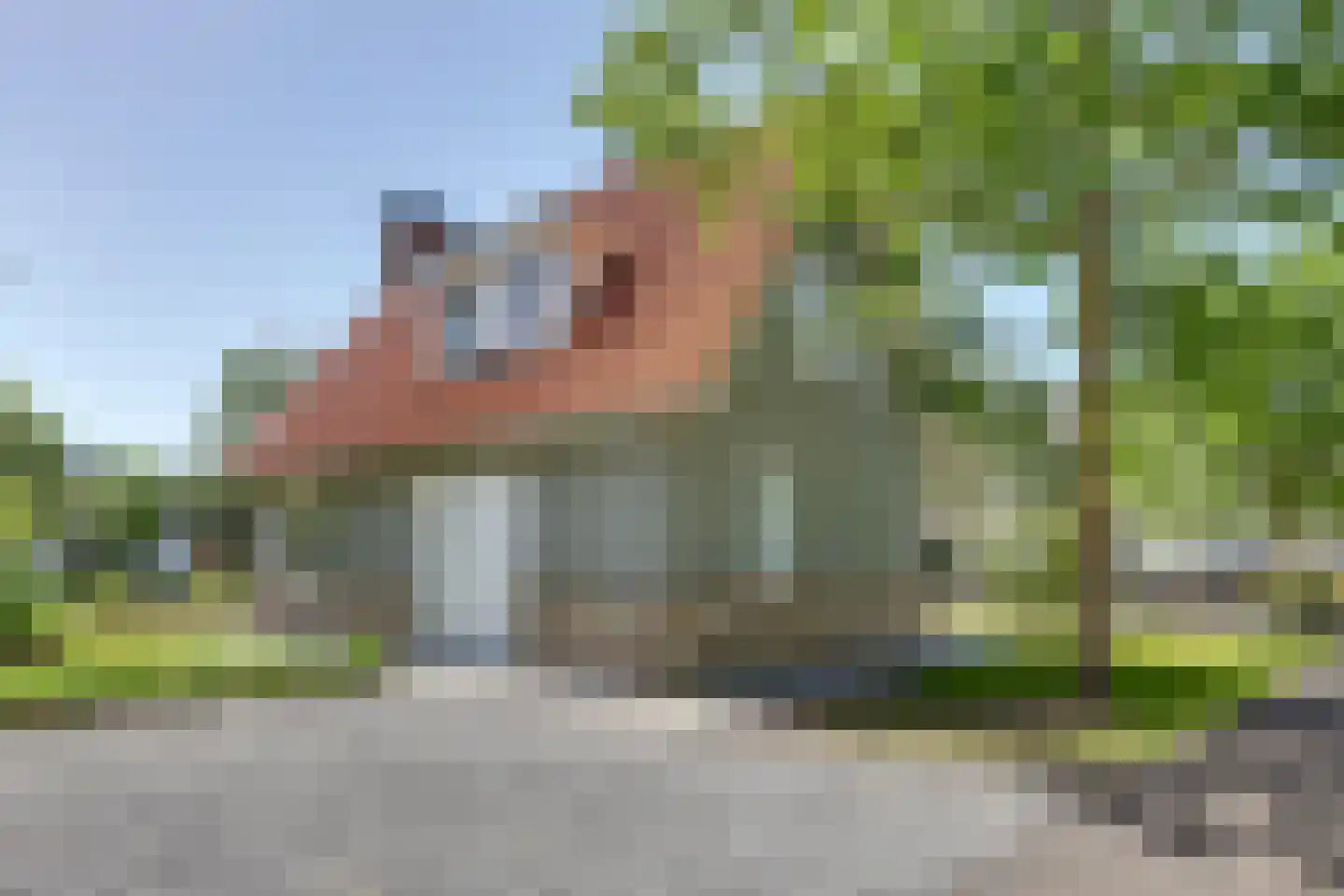 Ploegdijk 2 H745 Lochem thumbnail 5