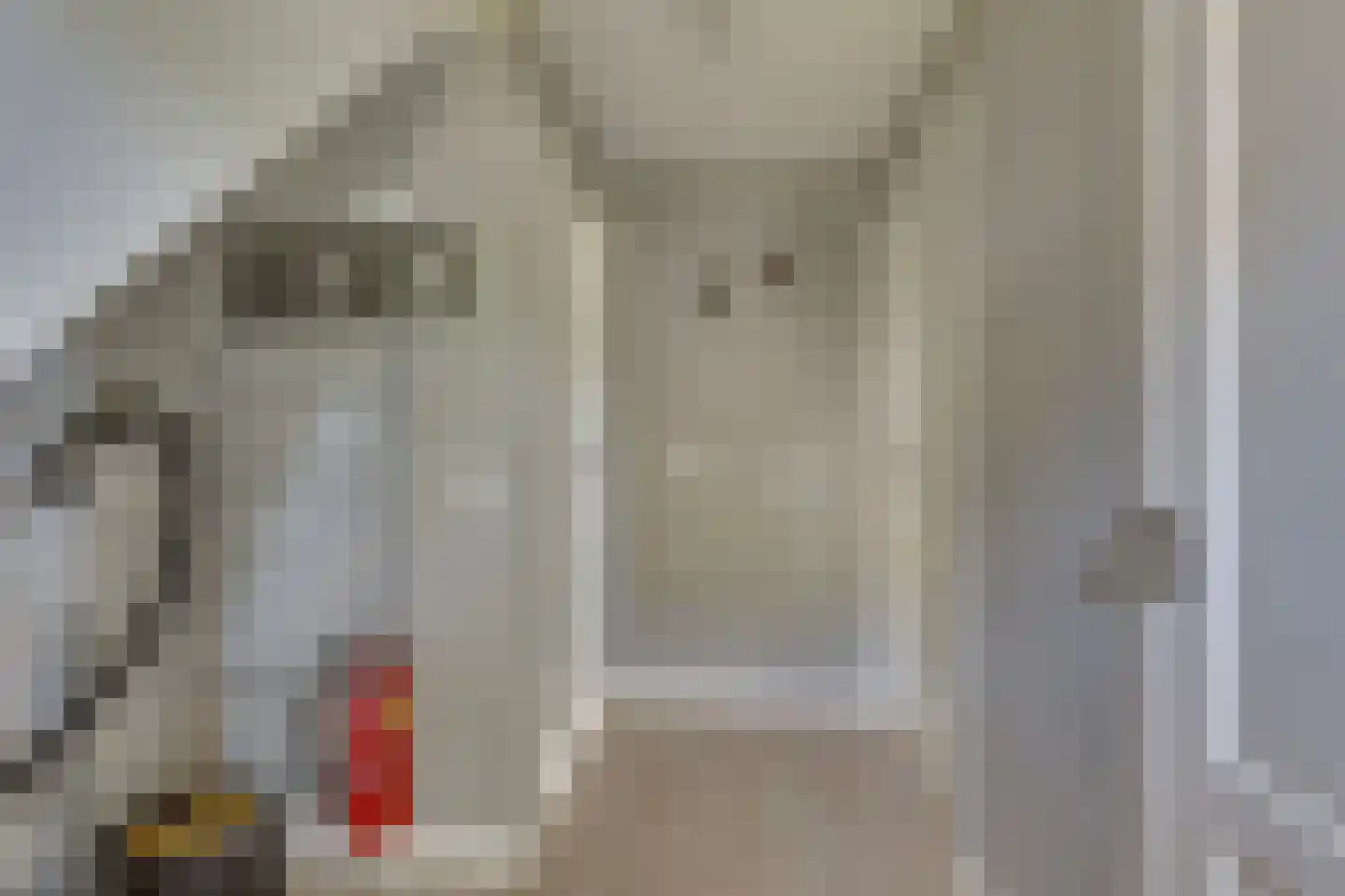Ploegdijk 2 H745 Lochem thumbnail 7