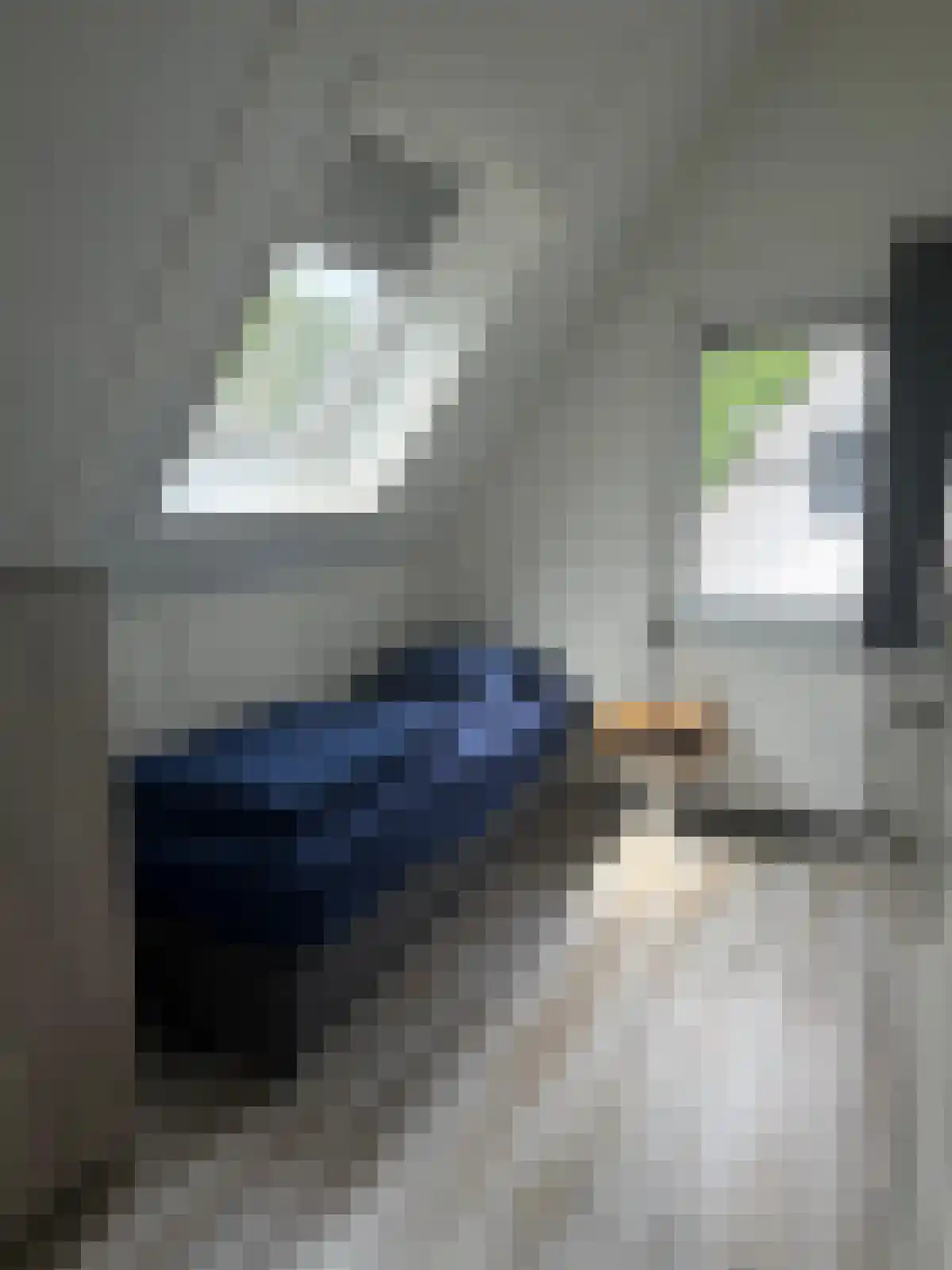 Ploegdijk 2 H747 Lochem thumbnail 6