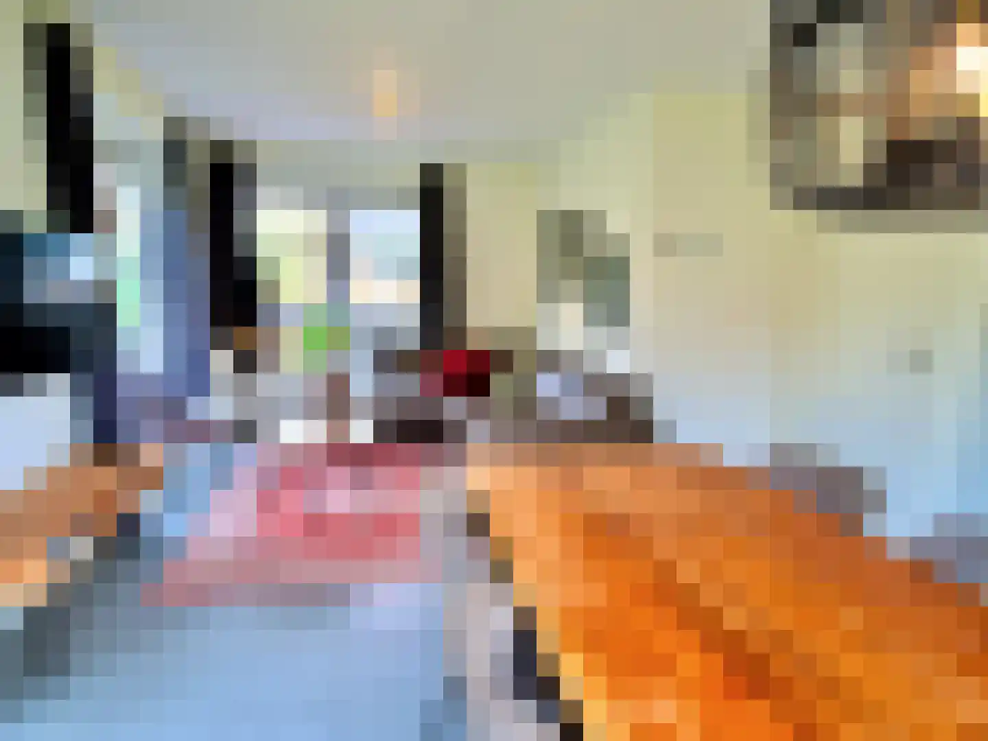 Ploegdijk 2 H752 Lochem thumbnail 4