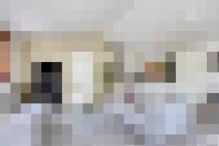 Ploegdijk 2 H94 Lochem thumbnail 13