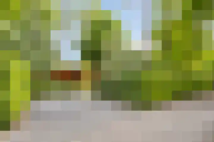 Ploegdijk 2 H94 Lochem thumbnail 22