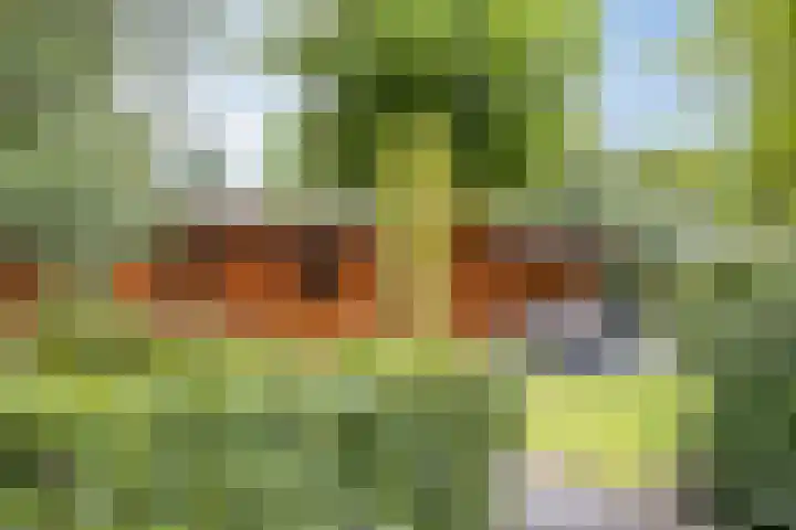 Ploegdijk 2 H94 Lochem thumbnail 23
