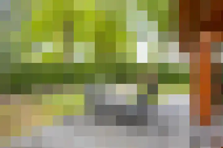 Ploegdijk 2 H94 Lochem thumbnail 25