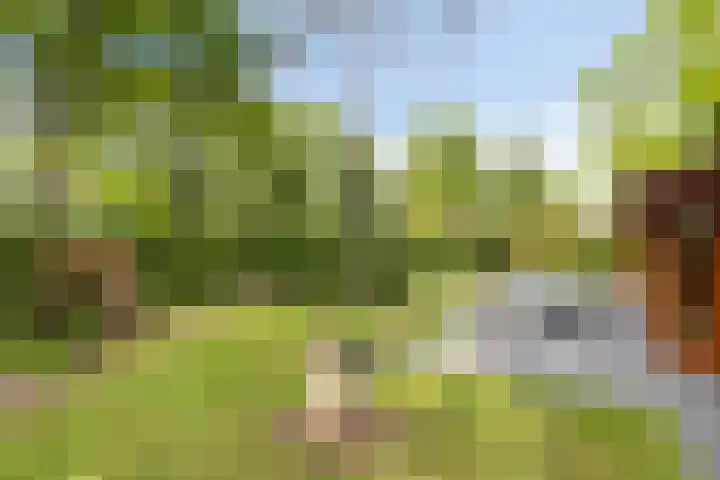 Ploegdijk 2 H94 Lochem thumbnail 26