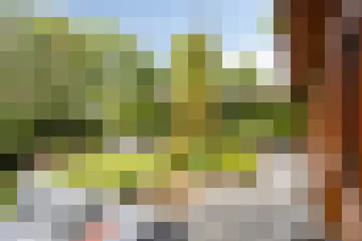 Ploegdijk 2 H94 Lochem thumbnail 28