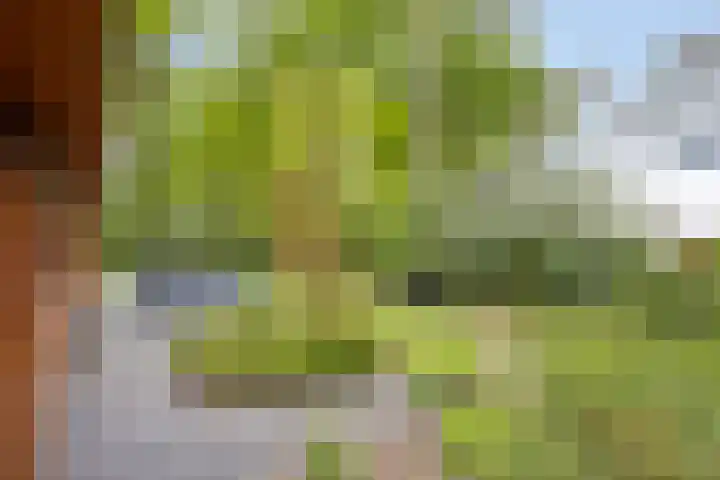 Ploegdijk 2 H94 Lochem thumbnail 30