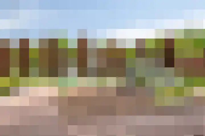 Ploegdijk 2 H94 Lochem thumbnail 34