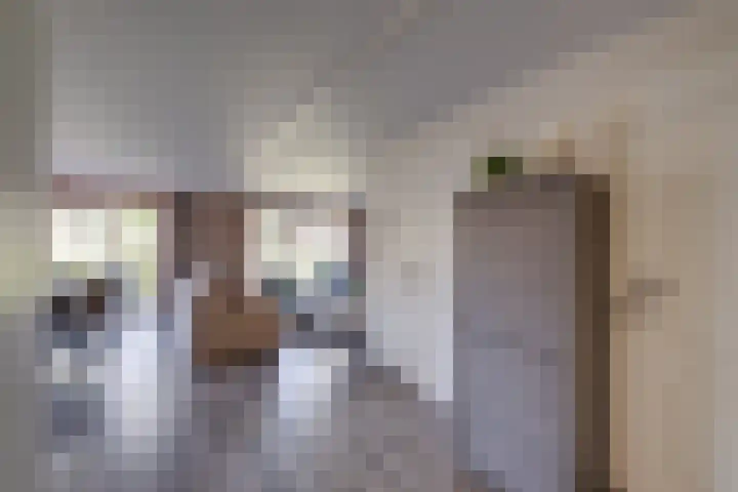 Ploegdijk 2 H95 Lochem thumbnail 33