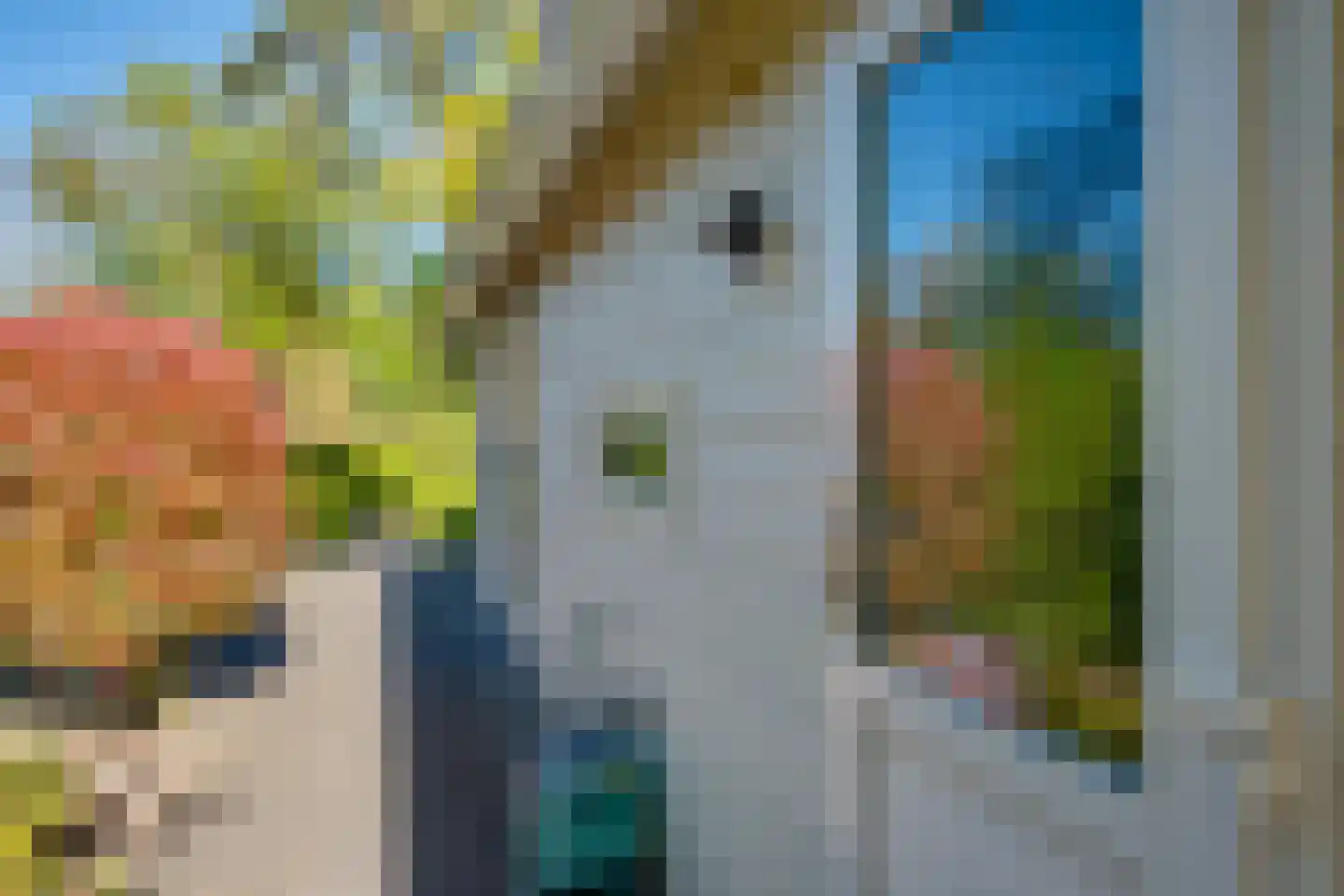 Ploegdijk 2 H95 Lochem thumbnail 42
