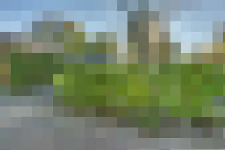 Ploegdijk 2 H99 Lochem thumbnail 25