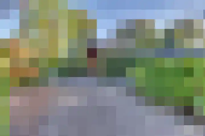 Ploegdijk 2 H99 Lochem thumbnail 26