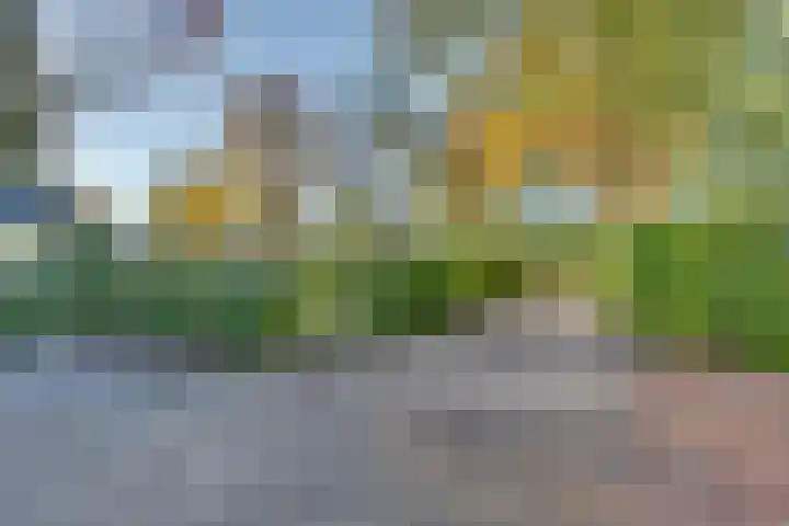 Ploegdijk 2 H99 Lochem thumbnail 27