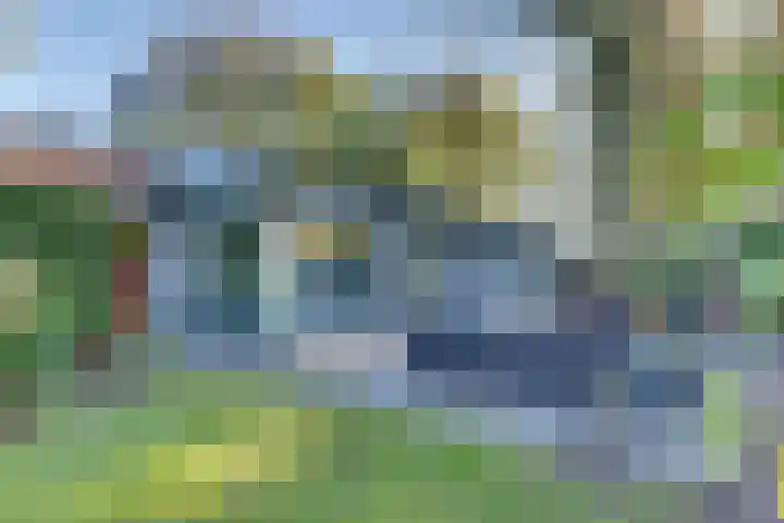 Ploegdijk 2 H99 Lochem thumbnail 5