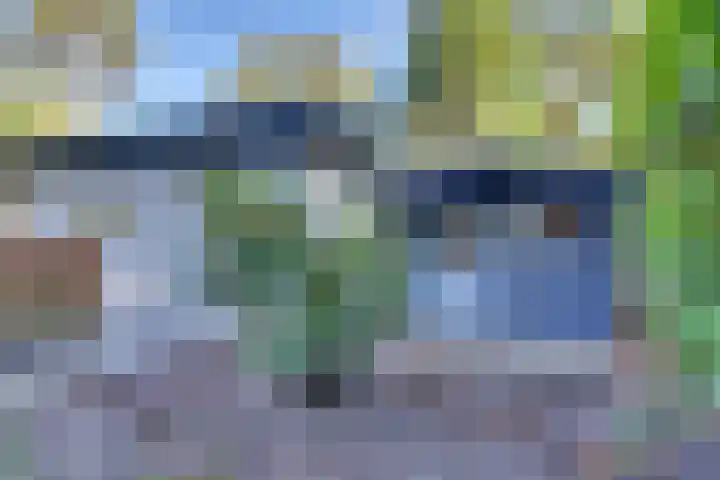 Ploegdijk 2 H99 Lochem thumbnail 6