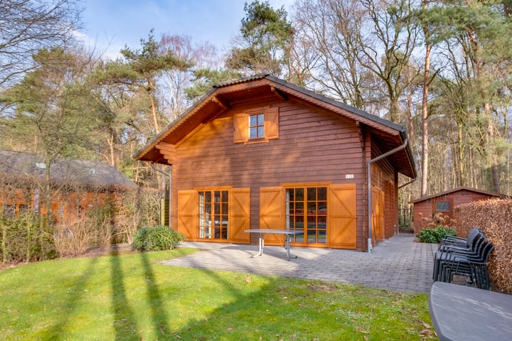 Ploegdijk 2H-C213 in Lochem Foto