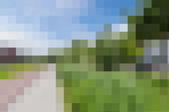 Ploegdreef 10 Harderwijk thumbnail 32