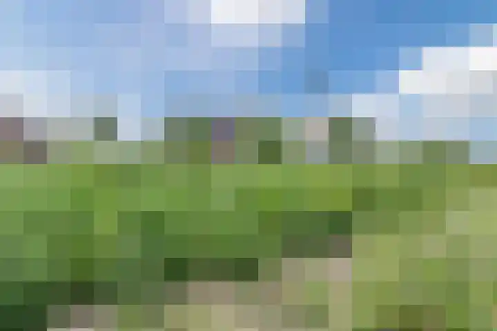 Ploegdreef 10 Harderwijk thumbnail 33