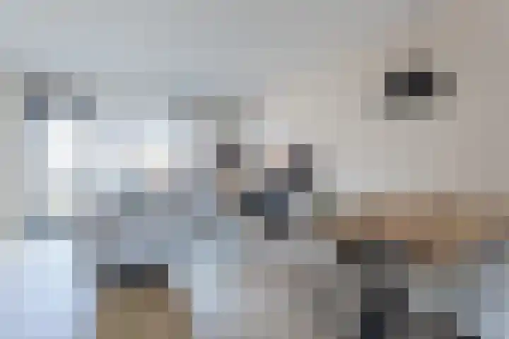 Ploegdreef 10 Harderwijk thumbnail 9