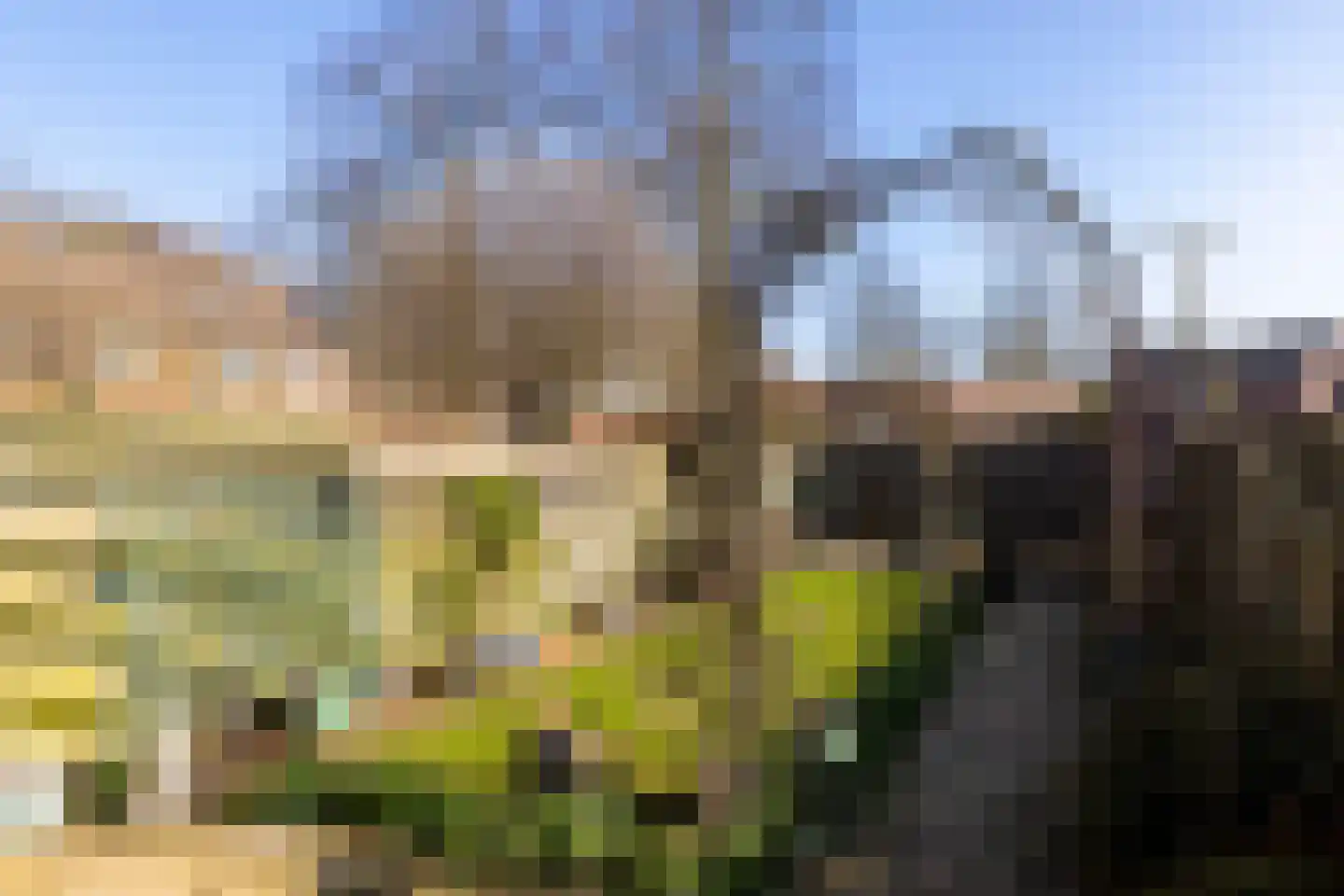 Ploegdreef 12 Doetinchem thumbnail 18