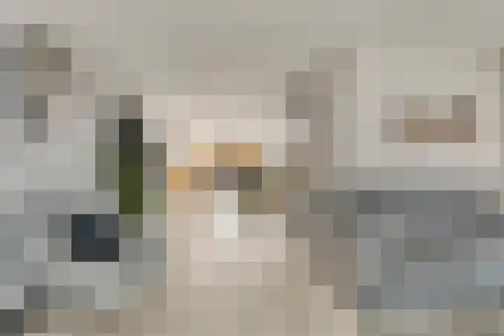 Ploegdreef 3 Doetinchem thumbnail 14