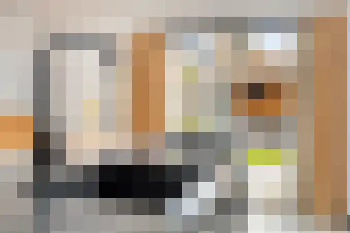 Ploegdreef 3 Doetinchem thumbnail 19