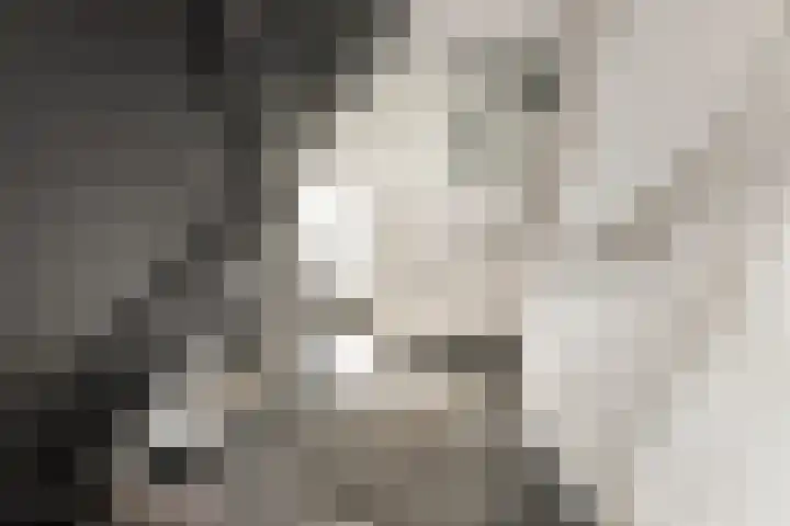 Ploegdreef 3 Doetinchem thumbnail 22